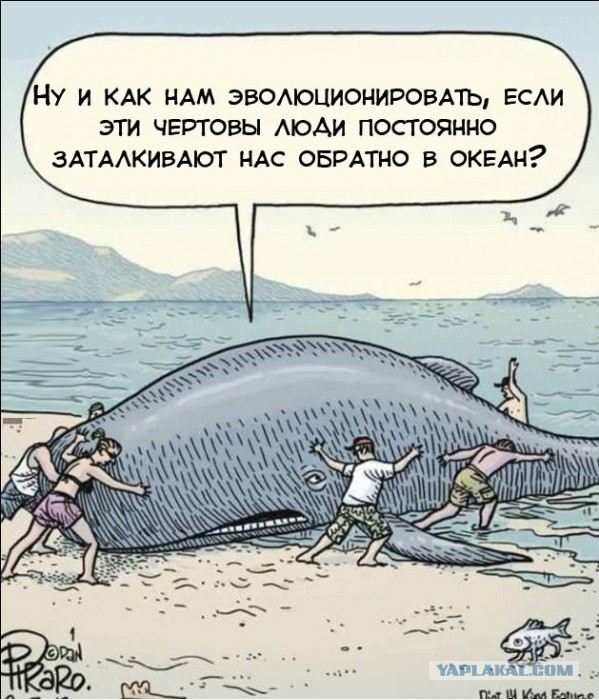 Подлинная сторона человеческой природы