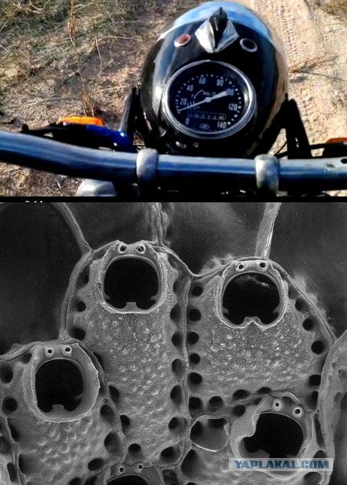 Автолюбителей пст.