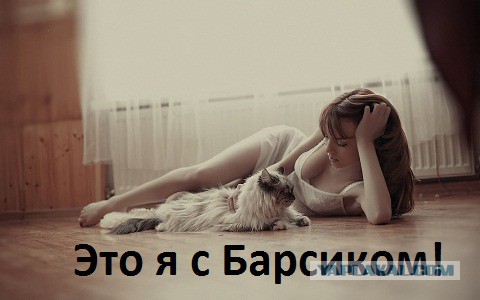 Мой телефон вас сдал!