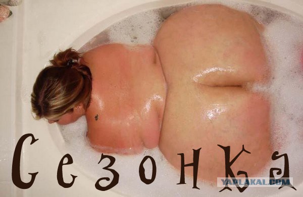 Зая