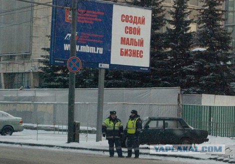Маразмы года 2013