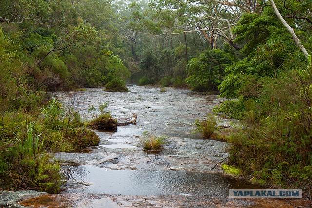 Австралия: Сидней и его окрестности