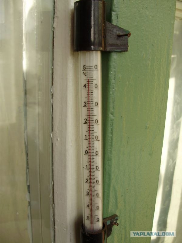 Солнечная сторона лета 2010 года