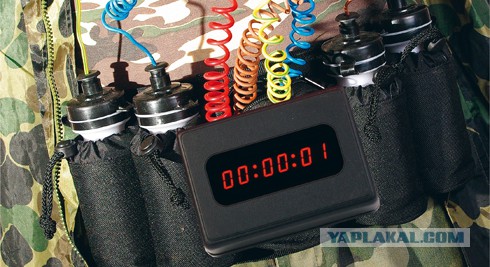 Янукович написал заявление об отставке