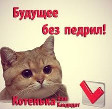 Котенька. Собрался на собеседование, наверное.