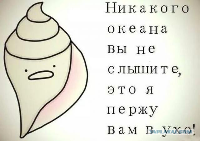 Картинки