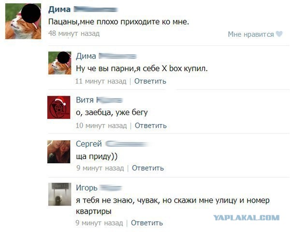 Смешные комментарии из социальных сетей