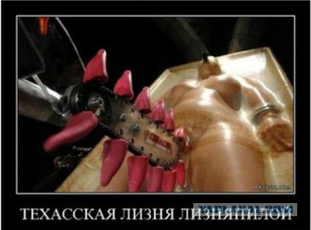 Лизня лизняпилой