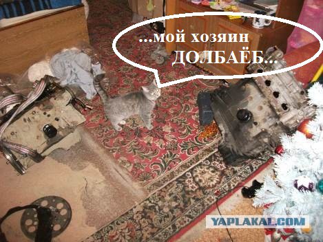 Как правильно тюнинговать авто