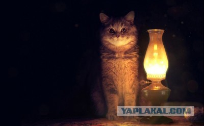 Богатые тоже бывают рабами