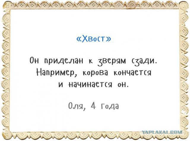 Картинки 12.05.2015