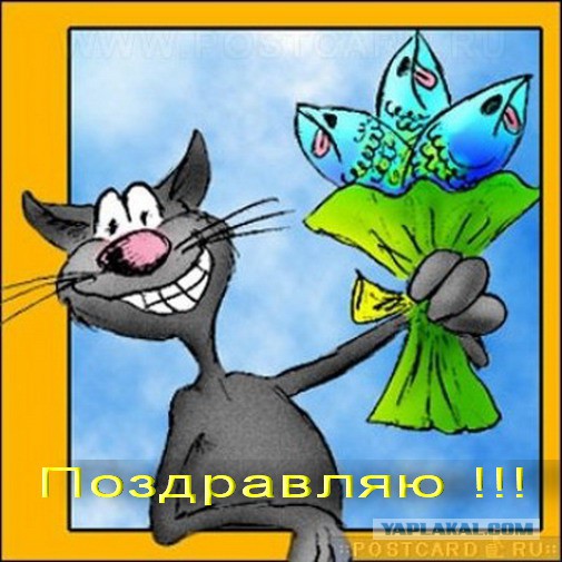 ЯП, С Днём Рождения !