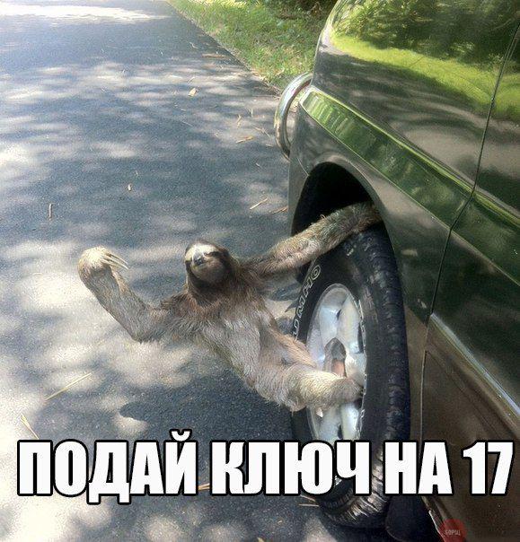 Автоприколы-5