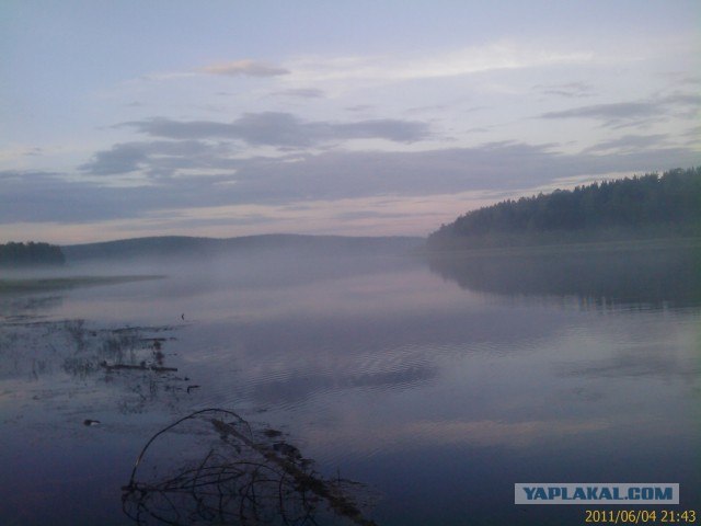 Небольшая дверь в Лето!