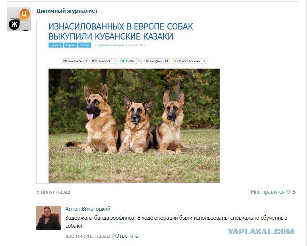 Смешные комментарии из социальных сетей