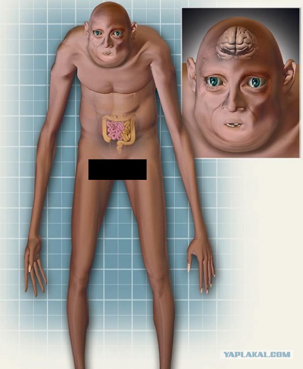 Эволюция за одну минуту