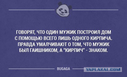 Веселые картинки