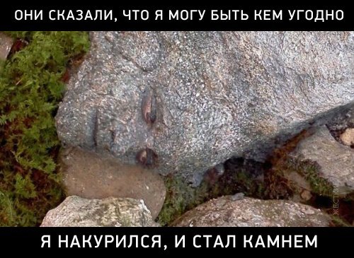 Злые шутки или минутка сарказма на ЯП-е, 16+