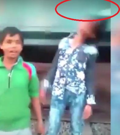 Очередной кандидат на премию Дарвина