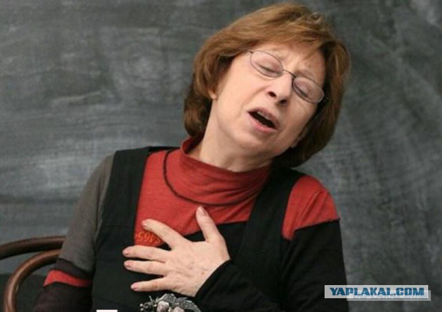 Турецкий поэт Хюсейн Хайдар извинился перед россиянами за сбитый Су-24