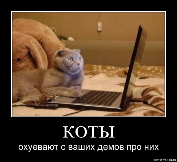 Анекдоты, фразы