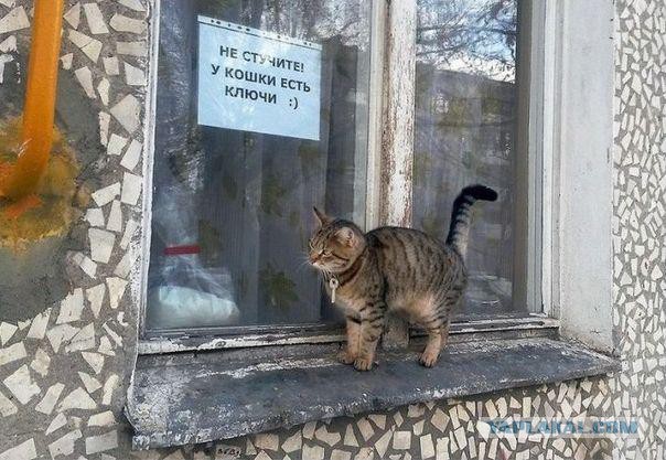 Удачный кадр