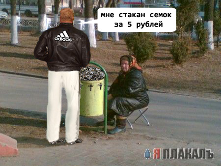 Фотожаба: Бабка и мусорный бак