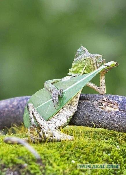 Когда позируешь как фотомодель