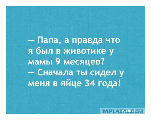 Смешные комментарии из социальных сетей 30.09.2016