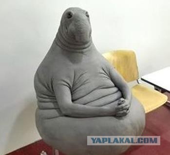 Личное и персональное мнение по разведенкам
