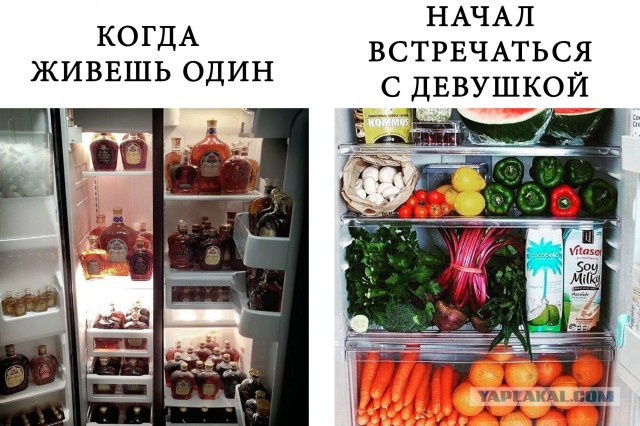 Самое посещаемое место в квартире после кровати