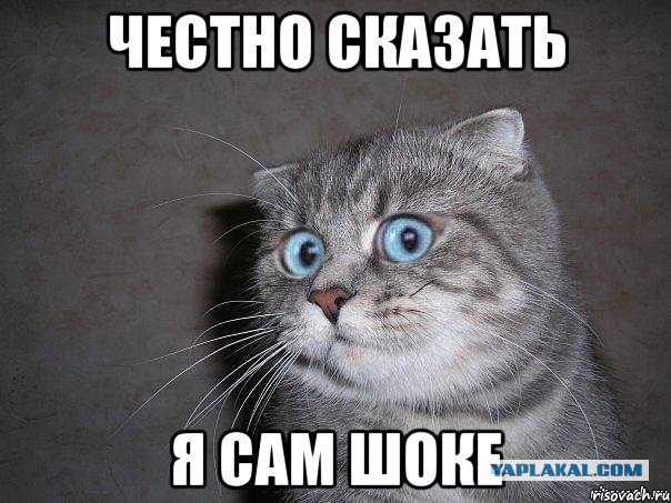 -Магулия? - Магёте!