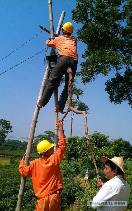 Картинки всякие для поднятия настроения