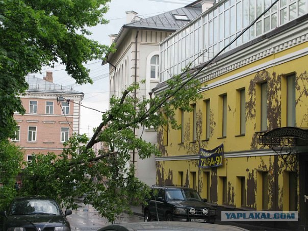 Водитель явно родился в рубашке