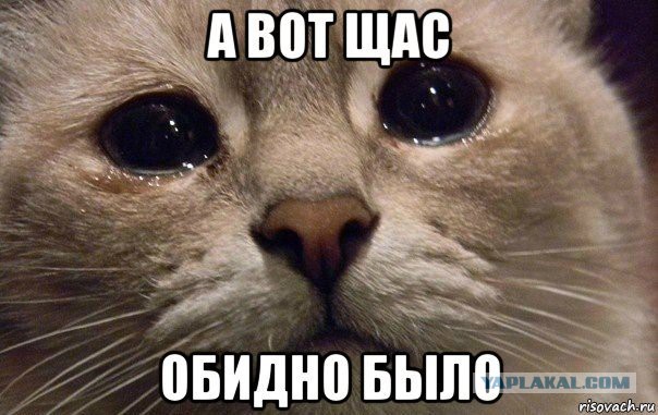 Россиян наказали за защиту сибирского леса от китайцев