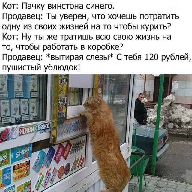 Не очень адекватный юмор