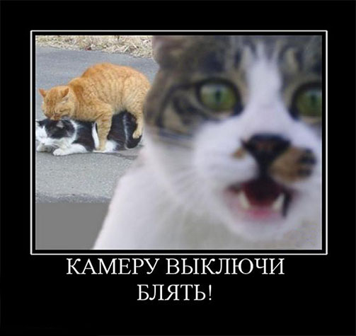 Раздвинь ножки....