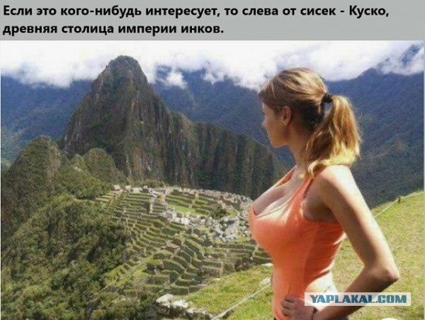 Забавные шутки, картинки и фразы из этих ваших интернетов