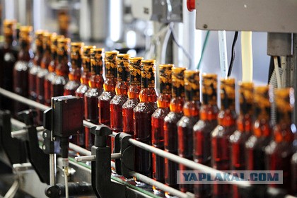 Три бабушки тайно запустили заброшенный ликеро-водочный завод на Урале