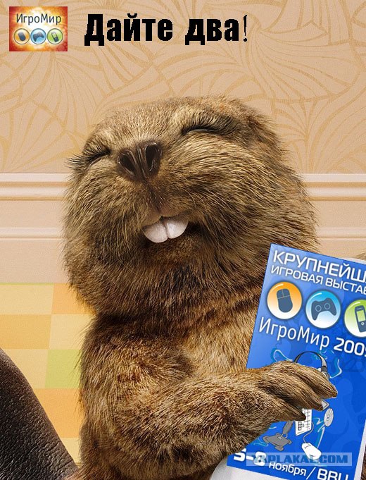 40 билетов на ИгроМир