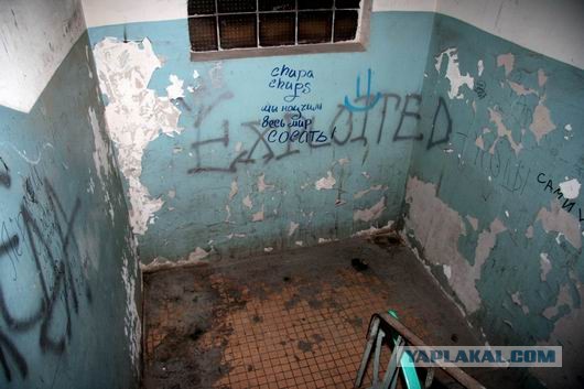 Где больше свободы. РФ против ЕС