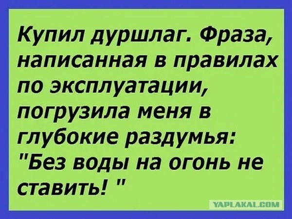 Глупость и невежество: в Ижевске коз нарядили в нацистскую форму