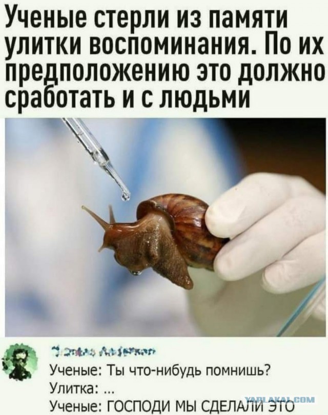Бредзона 06.09.21