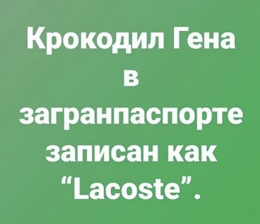 15929464.jpg
