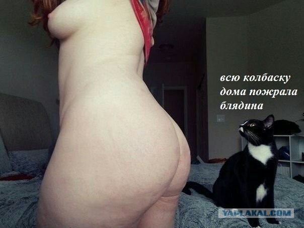 Картинки и мемы для настроения - 19