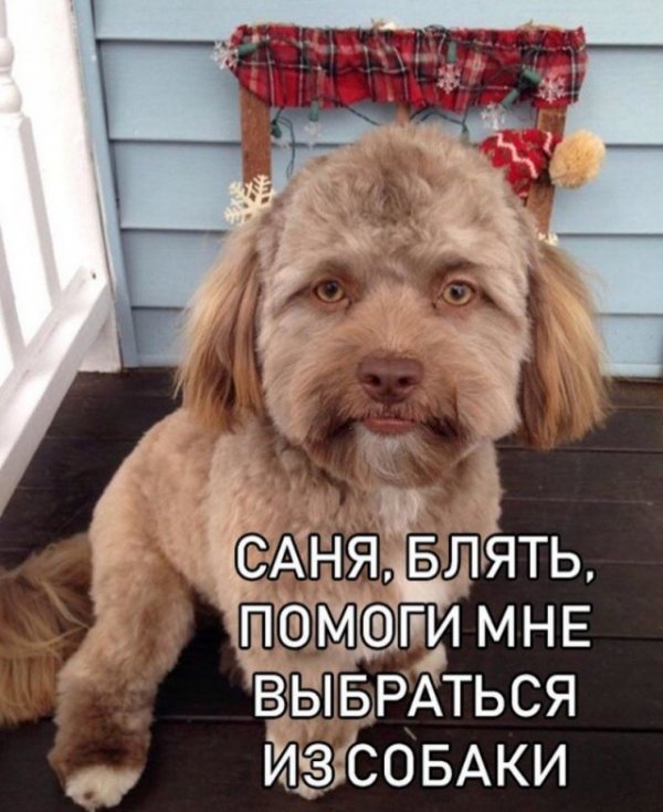 Прикольные и просто красивые картинки 04.11.2022