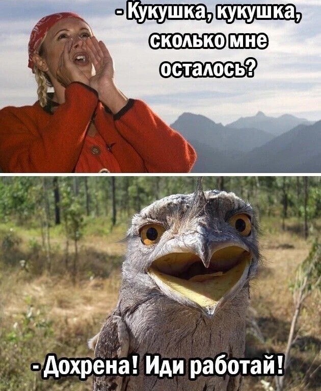 Немного картинок и прочей хреноты Vol. 23