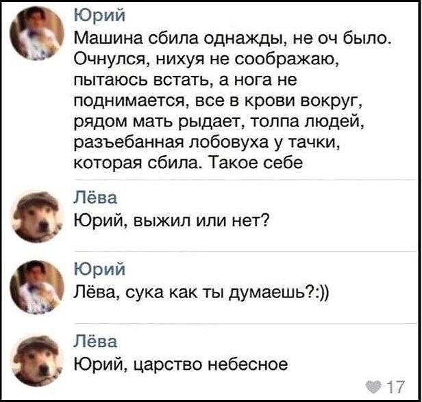 Весёлый полтишок 20.05.24