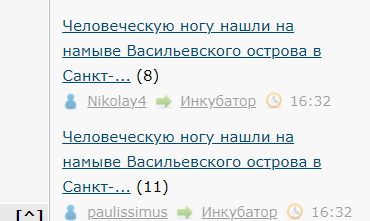 Человеческую ногу нашли на намыве Васильевского острова в Санкт-Петербурге