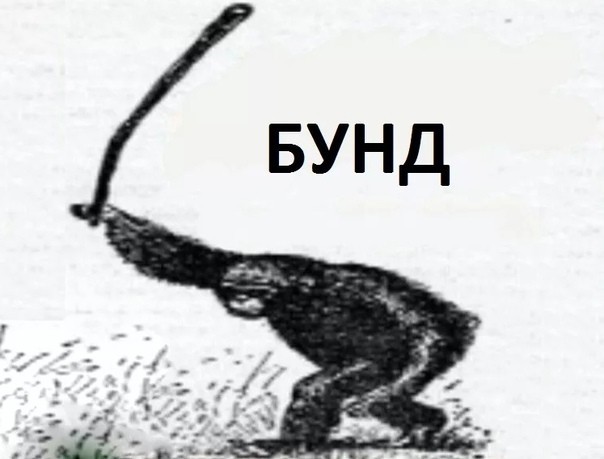 В Казани, в парке женщина  напала на мужика, но не подумала что после этого она автоматически станет спарринг-партнёром
